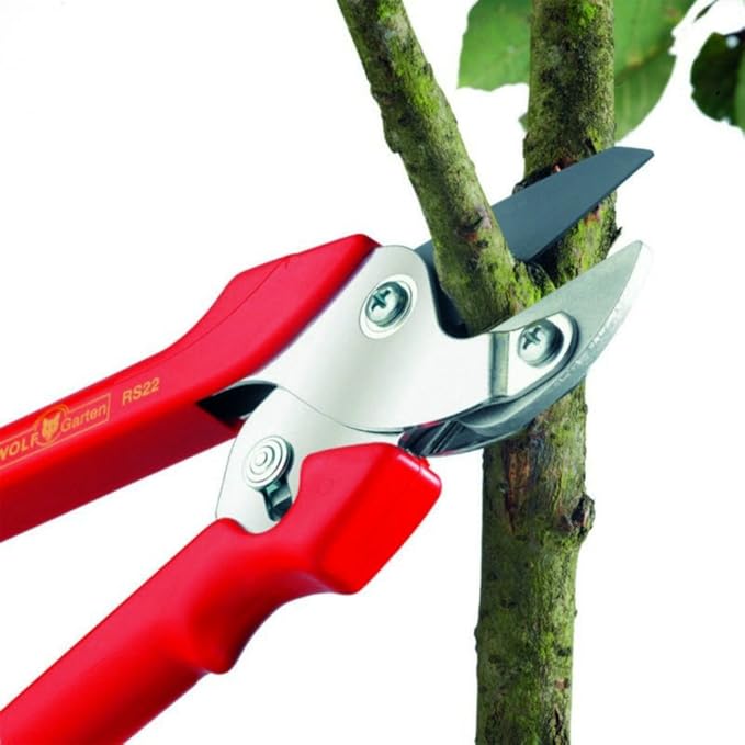 WOLF Garten RS22 Anvil Pruner