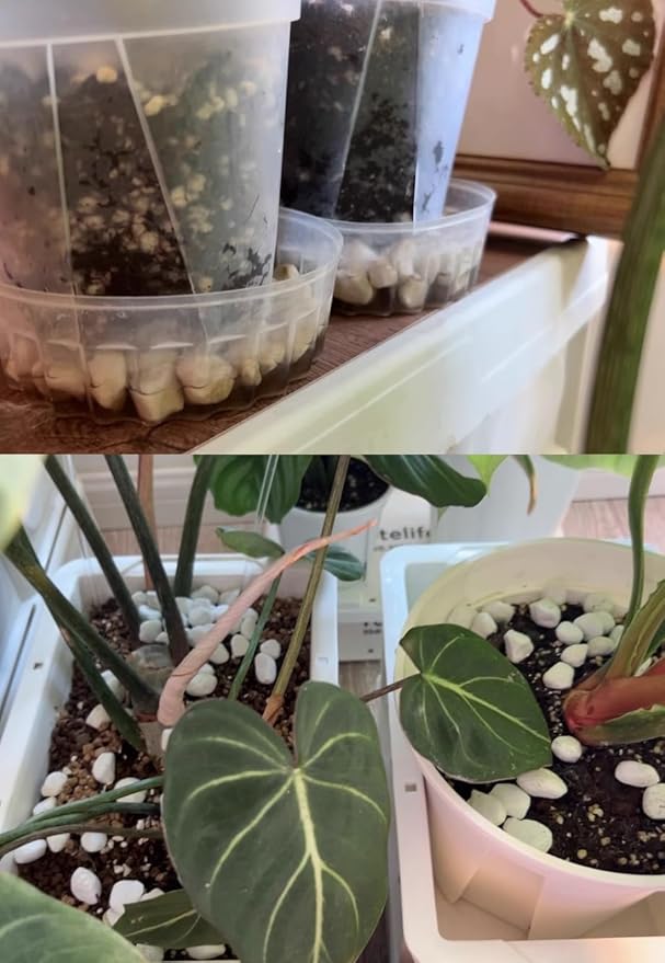 30 QT Professional Grade Horticultural Organic Perlite (30 QT, Large Size - Perlite)