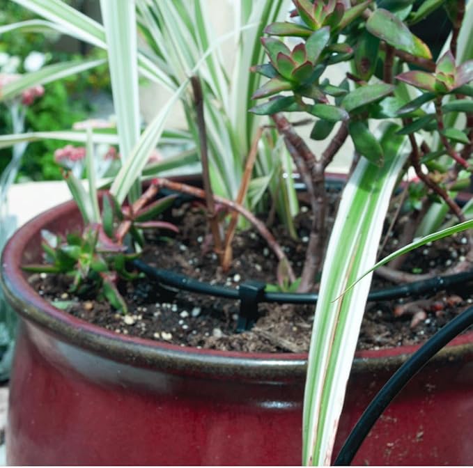 DIG ML-506, 500', ¼” MICROLINE Dripline - 6” Spacing, Color Black – UV Protected Drip Line