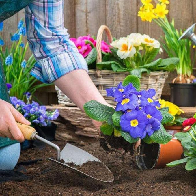 TINGMEI Premium Coconut Coir Pith with Low EC and pH - 100% Organic Potting Soil for Plants, Seeds, and Garden(1 Block,10Lbs)