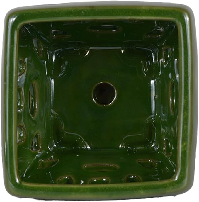 W&W Orchid Pot with Holes and Saucer for Repotting, Seagreen, 5.5 Inches