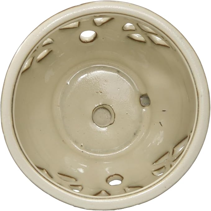 W&W Orchid Pot with Holes and Saucer for Repotting and Better Grow, Cream White, 6.5 Inches