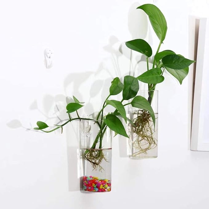 Kingbuy Glass Planter Terrarium Plant Propagation Station Wall Hanging for Home Office Decor, Medium Cylinder, 2 Pack