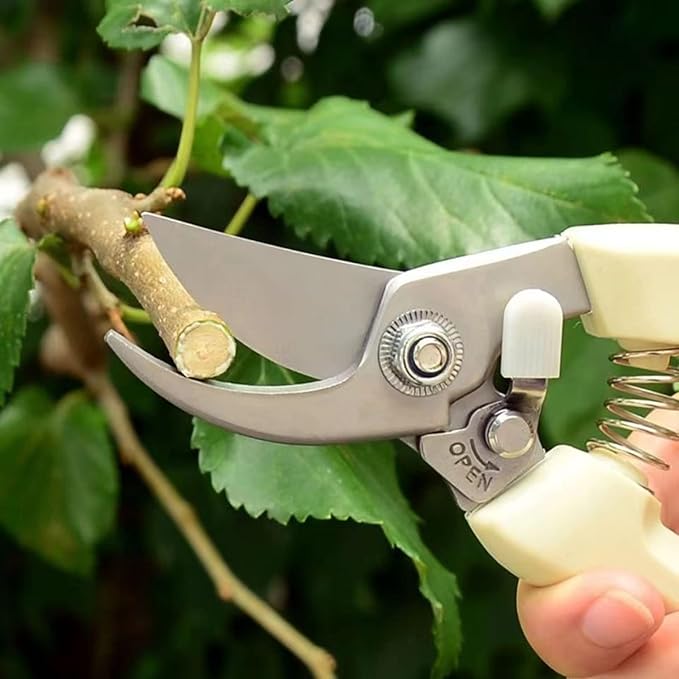 Pruners, pruning shears heavy duty, premium garden scissors for hedge, bonsai, floral, small stem, orchard and vegetable pick, upgraded, gardening tools anvil snips, plant clippers 2 pack