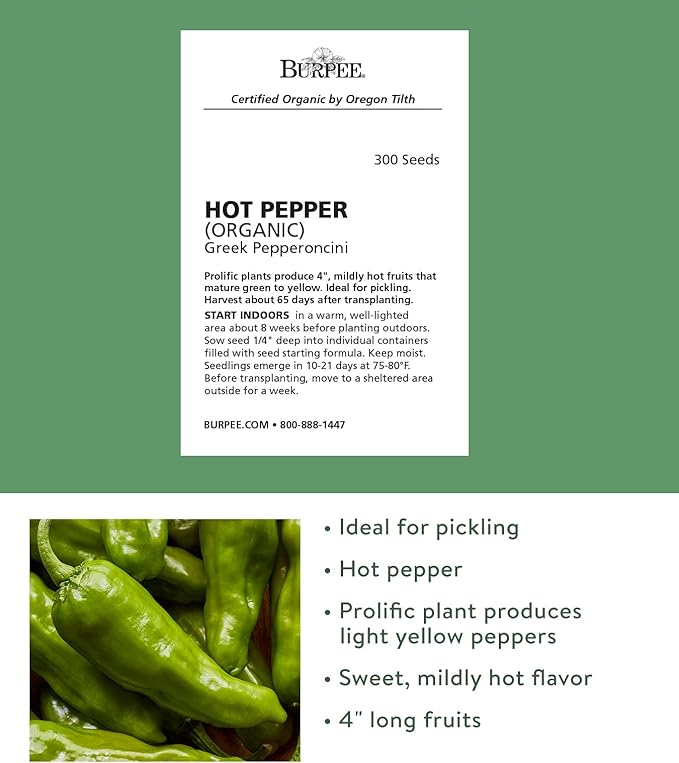 Burpee Organic Pepperoncini Greek Hot Pepper Seeds | 300 Non-GMO Seeds for Planting Home Garden, 1 Seed Packet | Heirloom Pepper Seeds for Growing Garden Plants | Mildly Hot Light Yellow Peppers