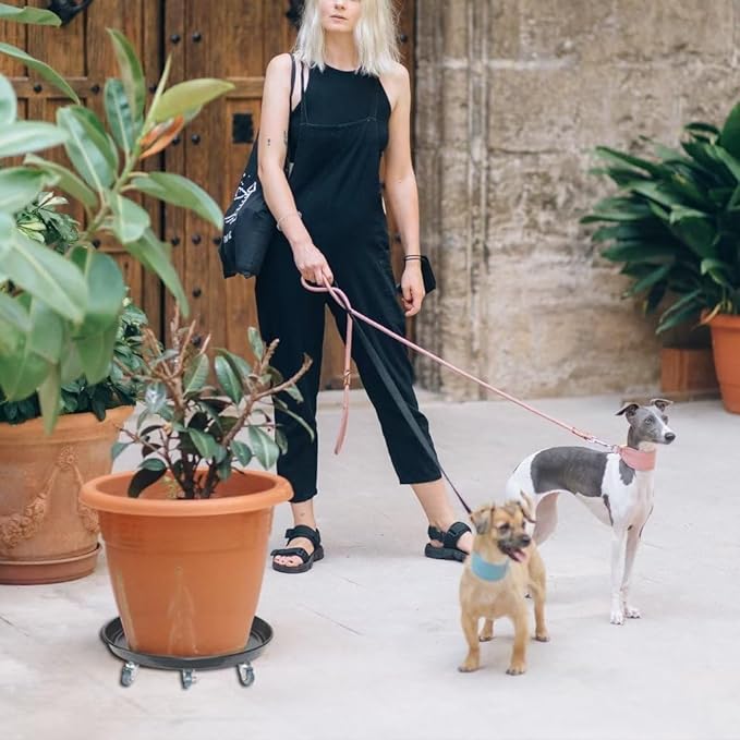 ARTLINE 10" Round Plant Stand with Lockable Wheels, 160lbs Heavy Duty for Indoor Outdoor, Large Rolling Dolly Planter Caddy on Casters to Carry Potted Flower Pot, Round Metal Tray NO Holes, 2 Pack