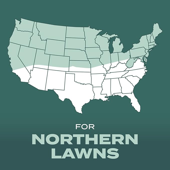 Scotts Turf Builder Grass Seed Dense Shade Mix with Fertilizer and Soil Improver, Grows With Little Sunlight, 5.6 lbs.