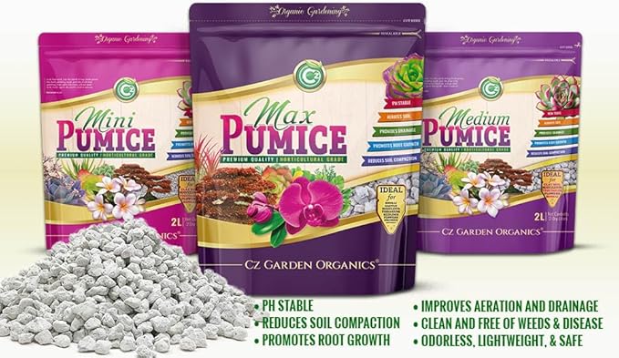 Pumice Stone Grow Media - Made in USA for Bonsai • Succulents • Cactus • Orchids - Horticultural Soil Amendment Additive Conditioner for Indoor and Outdoor Plants and Flower Gardens. OMRI Listed