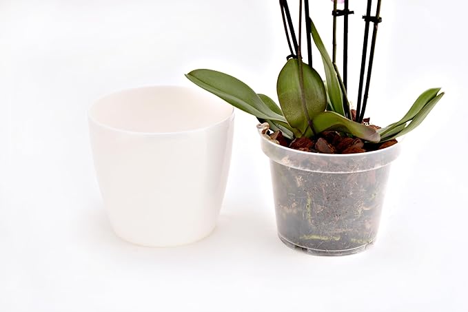 SMEREKA 6-Inch Orchid Pot Set with Drainage Holes - Inner and Outer Pots for Optimal Orchid Growth