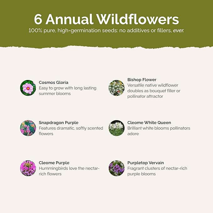 Eden Brothers Vintage Lace Flower Mixed Seeds for Planting, 1 lb, 480,000+ Seeds with Cosmos Gloria, Bishop's Flower, Snapdragon | Attracts Pollinators, Plant in Spring, Zones 3, 4, 5, 6, 7, 8, 9, 10