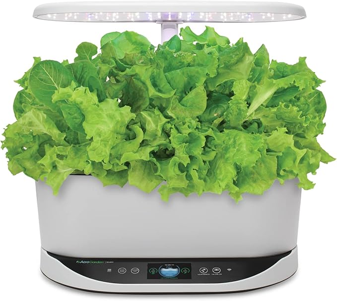 Aerogarden Salad Greens Seed Pod Kit with Red, Green, Romaine and Butter Leaf Lettuce, Liquid Plant Food and Growing Guide (9-Pod)