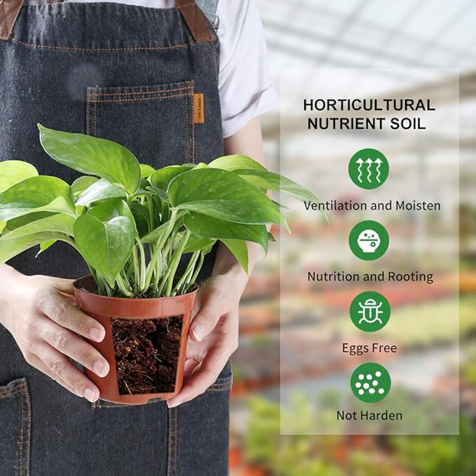 Coconut Coir Brick, 8 Pack 11.5 Pound Coconut Fiber Block, Organic Nutrition Soil for Plants and Flowers, Great Seed Bed (8)