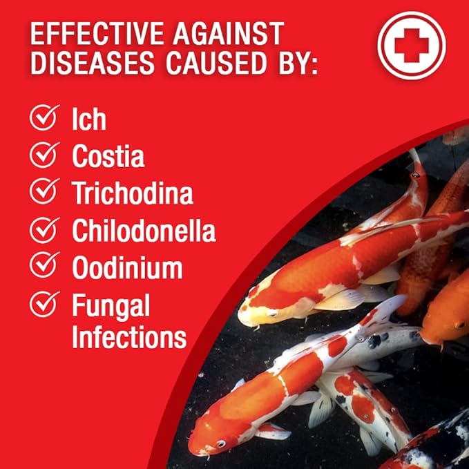 MICROBE-LIFT BSDT16 Broad Spectrum Disease Treatment for Ponds and Outdoor Water Garden, Safe for Live Koi Fish, Goldfish, Plants, and Decor, 16 Ounces