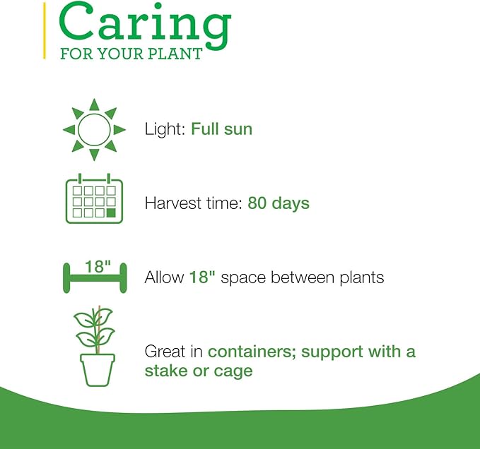 Bonnie Plants Serrano Pepper 19.3 oz. 4 Pack