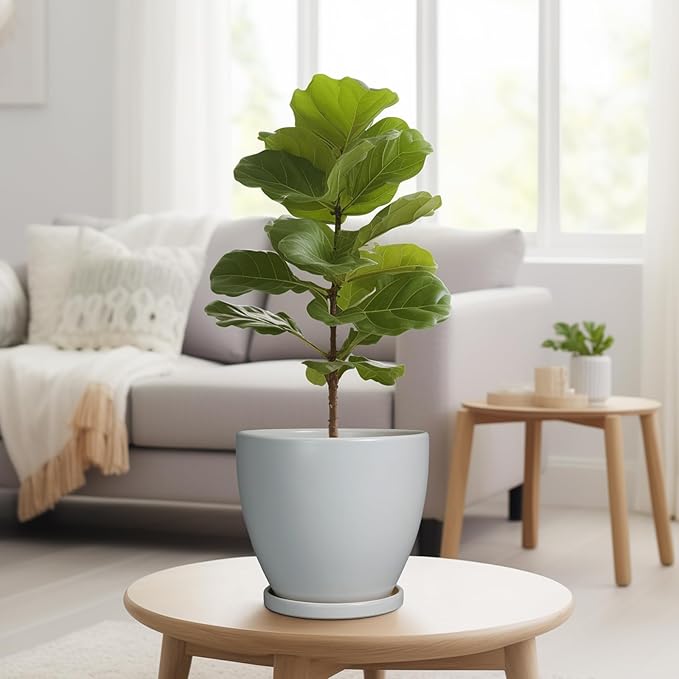 Ceramic Pots for Plants - 8 Inch Planter, Indoor Plant Pot with Drainage Hole and Saucers, Modern Flower Planters, Home Garden Patio Bathroom Porch Room Decor, Gray