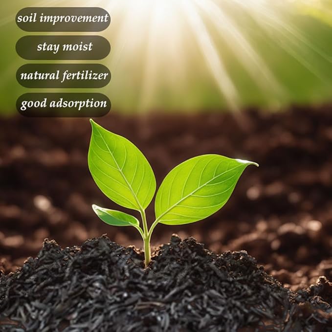 Horticultural Charcoal, Rice Husk Natural Activated Charcoal for Plants Indoor Biochar Soil Amendment Organic for Terrariums - 1.1 lbs