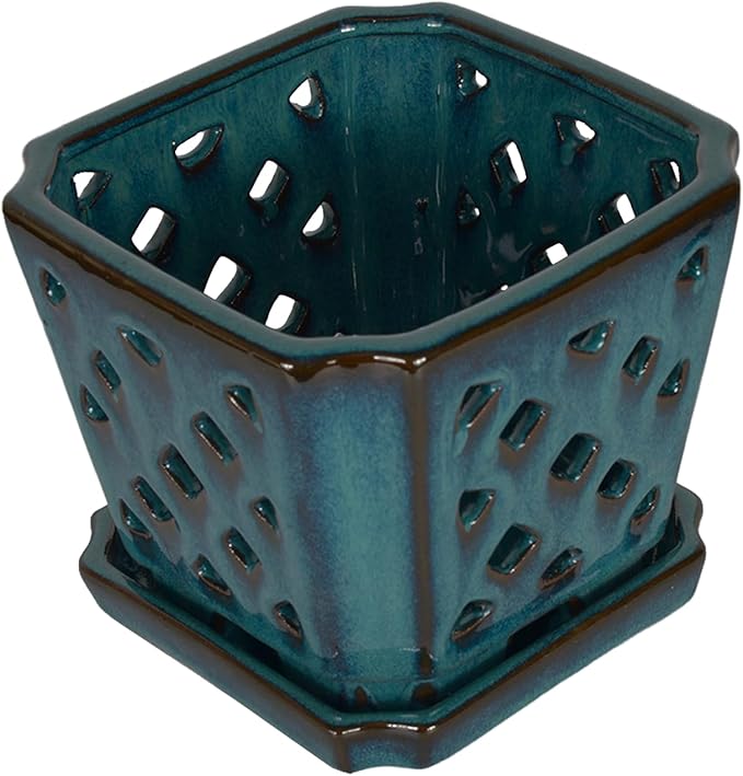 W&W Orchid Pot with Holes and Saucer for Repotting and Better Grow, Teal, 7 Inches