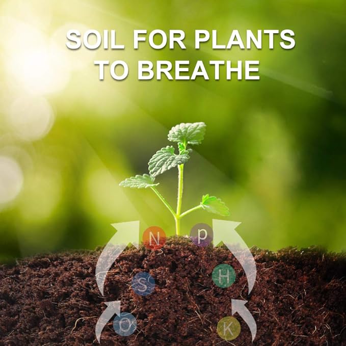 Coconut Coir Brick, 8 Pack 11.5 Pound Coconut Fiber Block, Organic Nutrition Soil for Plants and Flowers, Great Seed Bed (8)