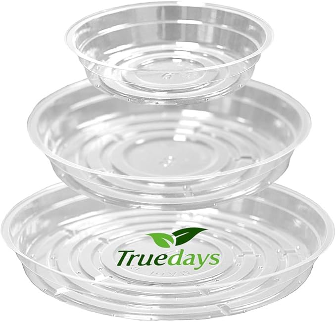 TRUEDAYS 8 Inch 5 Pack Clear Plant Saucers Flower Pot Tray Excellent for Indoor & Outdoor Plants