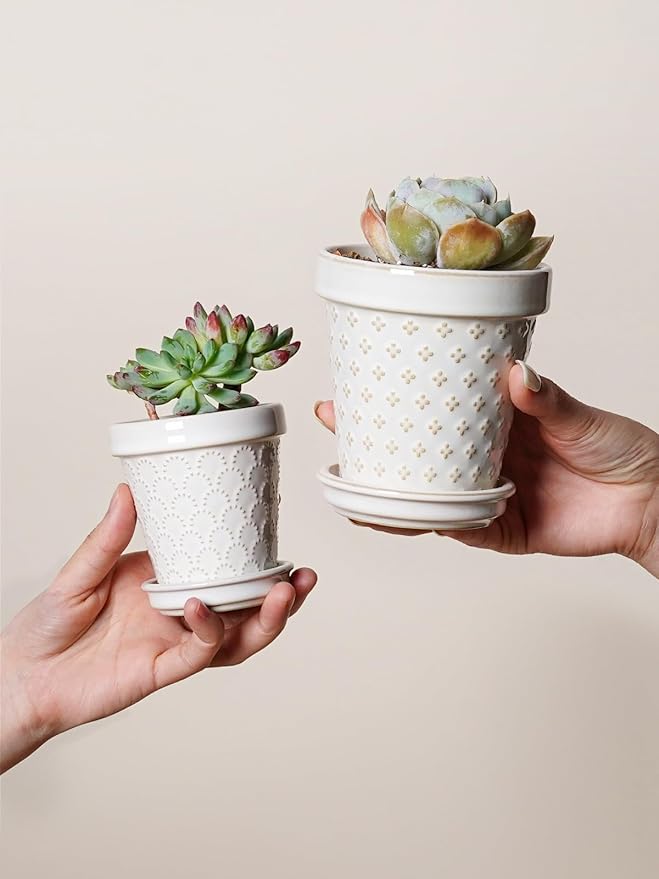 LE TAUCI Succulent Pots, Cute Indoor Plant Pot with Saucer, 3 Inch Mini Ceramic Flower Pots with Drainage, for Plant Lover or Mothers Day,Housewarming, Decorative Lovely Planter for Cactus,Set of 4