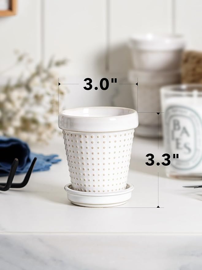 LE TAUCI Succulent Pots, Cute Indoor Plant Pot with Saucer, 3 Inch Mini Ceramic Flower Pots with Drainage, for Plant Lover or Mothers Day,Housewarming, Decorative Lovely Planter for Cactus,Set of 4