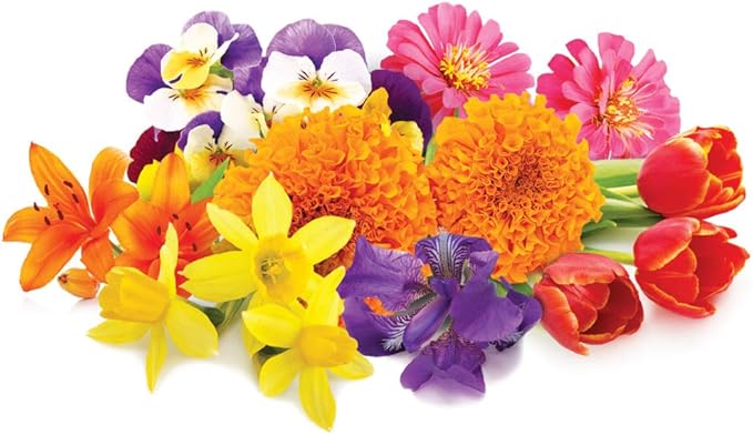 Jobe's Organics 09627 Organic Fertilizer, 4 lb (Pack of 2)