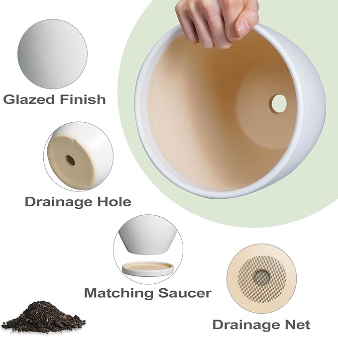 8 Inch Plant Pot - Ceraimc Planter for Indoor Outdoor Plants, Round Flower Pots with Drainage and Tray, House Decor, White