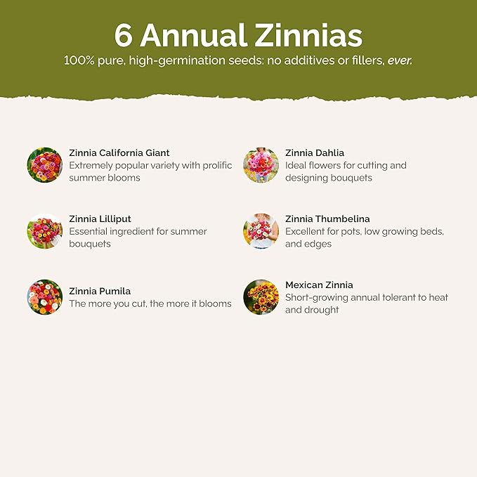 Eden Brothers Zin Master Flower Mixed Seeds for Planting, 5 lb, 2,400,000+ Seeds with California Giant, Mexican, Lilliput Zinnia | Attracts Pollinators, Plant in Spring, Zones 3, 4, 5, 6, 7, 8, 9, 10