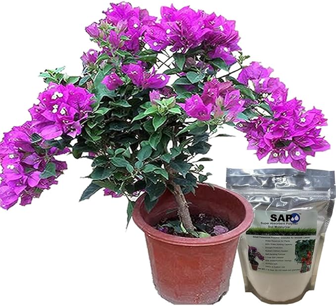 Water-Storing Crystal Gel (5 pounds)