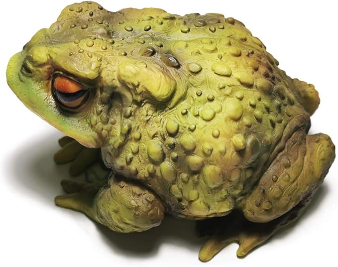 Sunthus Frog Toad Sculptures Garden Statues Yard Art Resin Decorations Outdoor Garden Decor