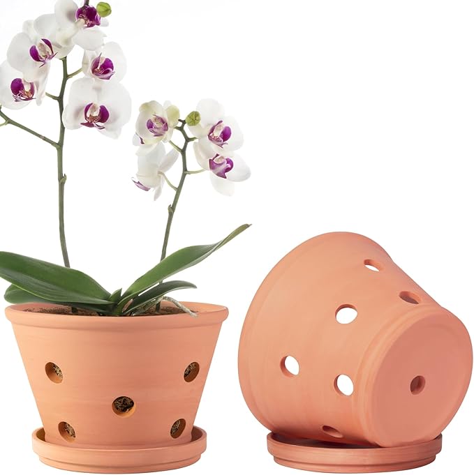 8 inch Terracotta Orchid Pots with Holes and Saucers, 2 Pack Clay Orchid Planter Pots for Repotting, Large Terra Cotta Orchid Pot, Plant Flower Pots for Orchid Indoor Outdoor Promotes Air Circulation