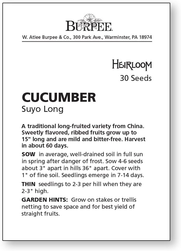 Burpee 'Suyo Long' Cucumber Seeds, 30 Non-GMO seeds, Heirloom