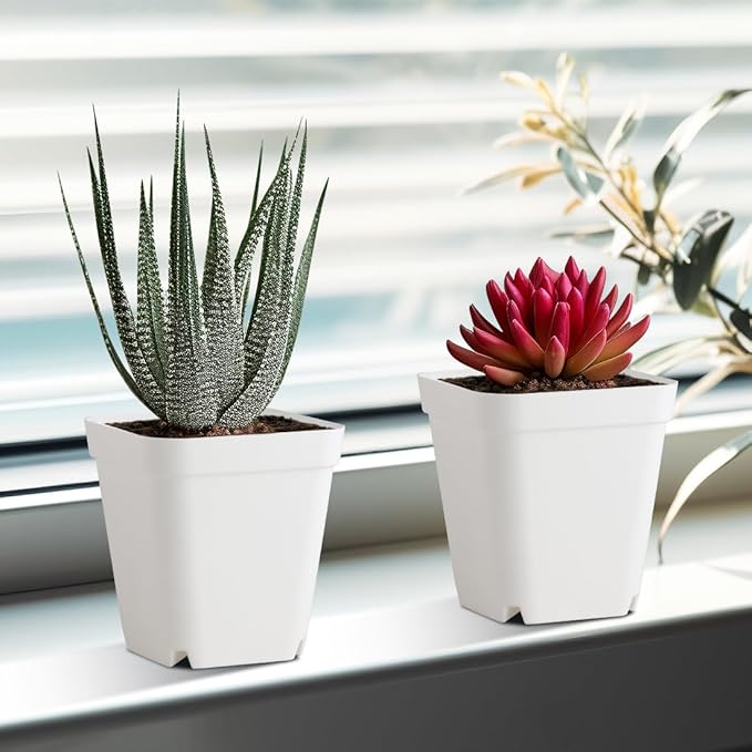 80 Pcs Nursery Pots 4 Inch, Plastic Seed Starting Pot with Drainage Holes, Small Sturdy Seedling pots for Planting, Succulents, Transplanting, Cuttings (White)