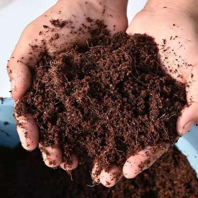 TINGMEI Premium Coconut Coir Pith with Low EC and pH - 100% Organic Potting Soil for Plants, Seeds, and Garden(1 Block,10Lbs)