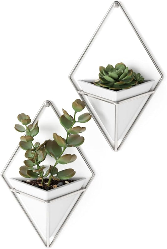 Umbra Trigg Small Wall Display, White-Nickel, Planter Pot, Indoor Outdoor Usage