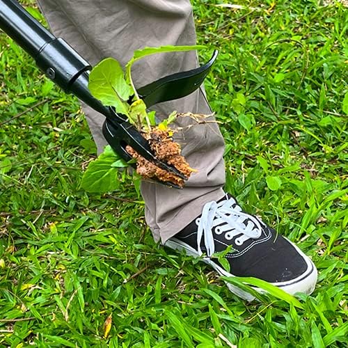 Weed Removal Head Replacement Tool, 4-Claw Steel Head Design, Manual Weeding Tool, Black