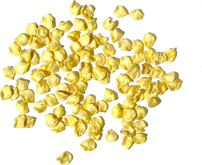 Seed Needs, Chocolate Habanero Pepper Seeds - 60 Heirloom Seeds for Planting Capsicum chinense - 100,000 to 350,000 Scoville Units, Non-GMO & Untreated (1 Pack)