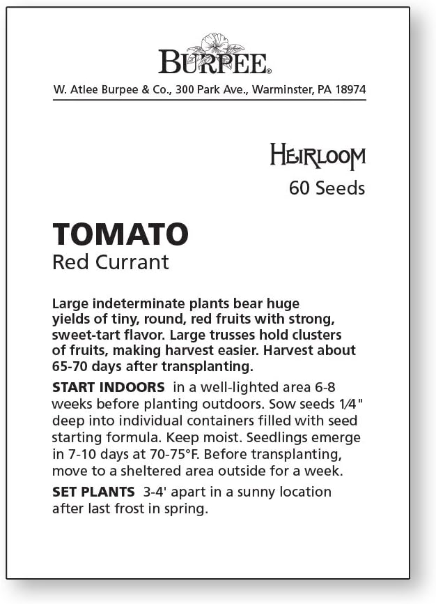 Burpee 'Red Currant', Red Cherry Tomato, Sweet Flavor, 60 Non-GMO Seeds