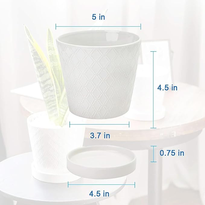 Plant Pots Indoor –5 inch Ceramic Flower Pot with Drainage Hole and Ceramic Tray - Gardening Home Desktop Office Windowsill Decoration Gift, Set of 4 - Plants NOT Included (White)