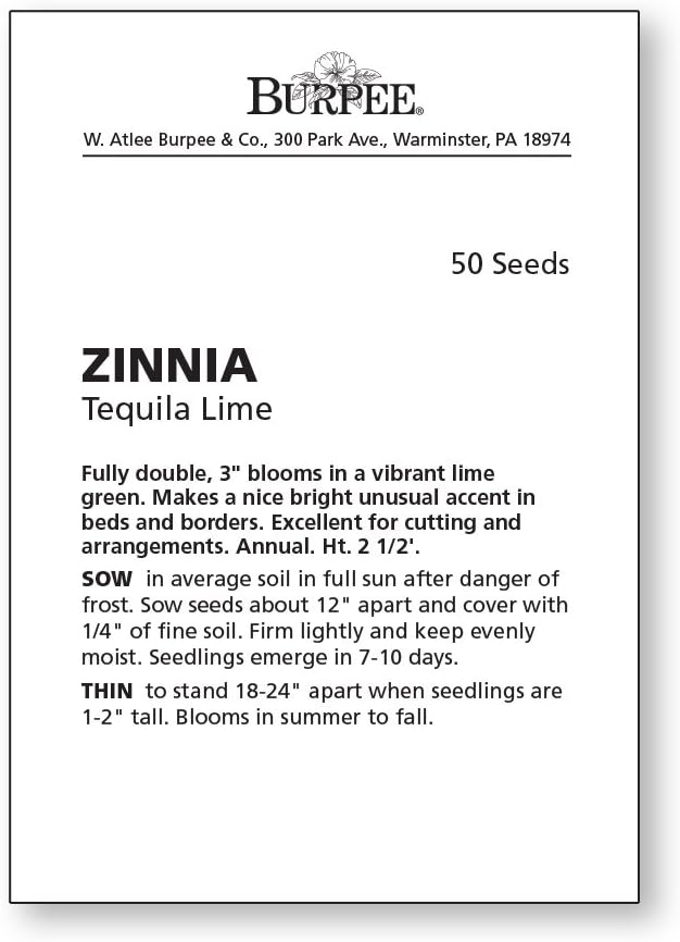 Burpee Tequila Lime Zinnia Seeds 50 seeds