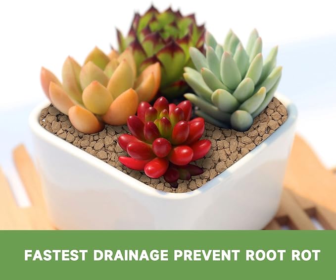 2.5lb Hard Akadama Bonsai Soil 1/8-1/4 inch Small Grain for Cactus, Succulents, Bonsai Plants Soil Amendment, Prevent Over Water, Provides Optimal Water Retention, Fast Drainage