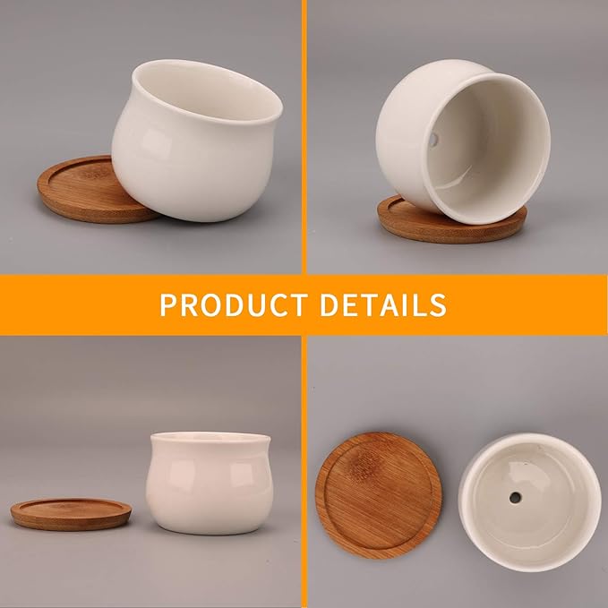 Succluent Pots ，Small Flower Pots Planter Pots with Drinage,Ceramic Flowers Pots with Bamboo Tray for Cactus(12 Pack