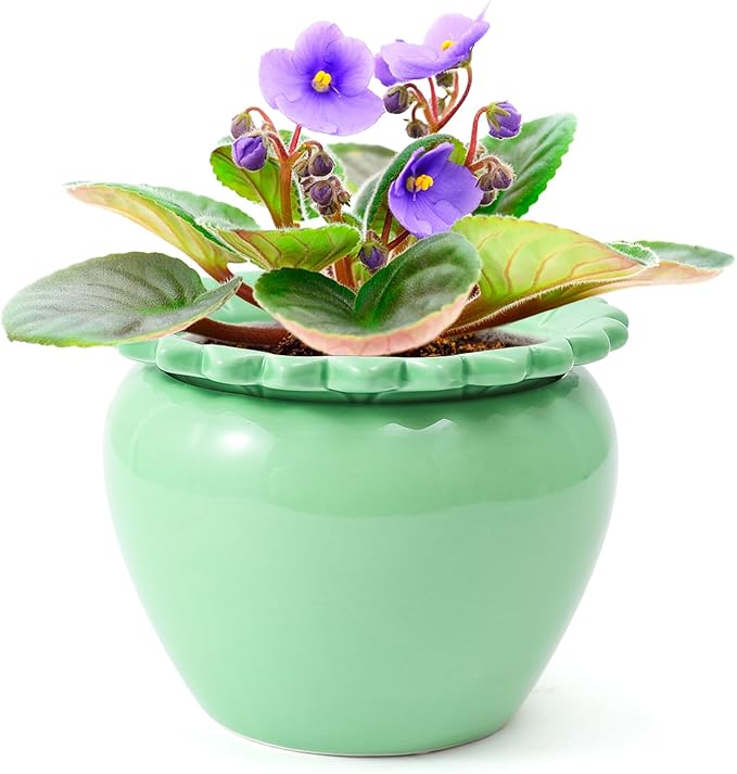 African Violet Flower Pot Green Ceramic Self Watering Flower Pot 6.5 * 4.6 * 4 inch Simple Plant Self Watering Pot Indoor Flowers High Absorption Herbaceous Flower Pots Modern Decor Pots
