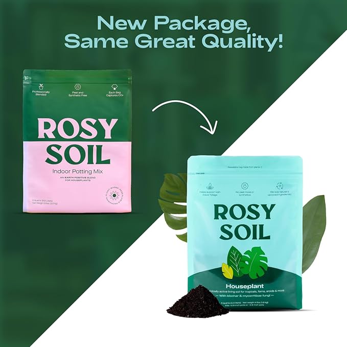Indoor Potting Soil for House Plants - Organic Potting Soil Mix for Indoor Plants - Enriched w/Root-Boosting Biochar for Foliage Plants, Flowers, Herbs - Peat Free, Less Prone to Gnats - 4qt