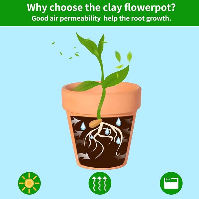 3 Inch Terracotta Pots with Saucer-20 Pack，Cactus Terra Cotta Flower Pots with Drainage，Succulent Nursery Clay Pots Great for Plants,DIY Crafts, Wedding Favor