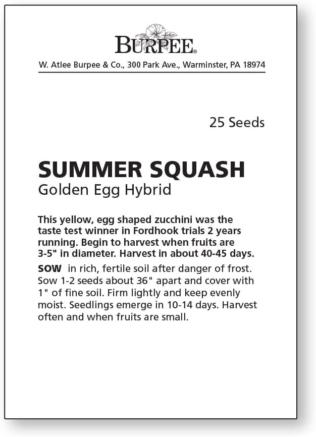 Burpee Golden Egg Summer Squash Seeds 25 seeds