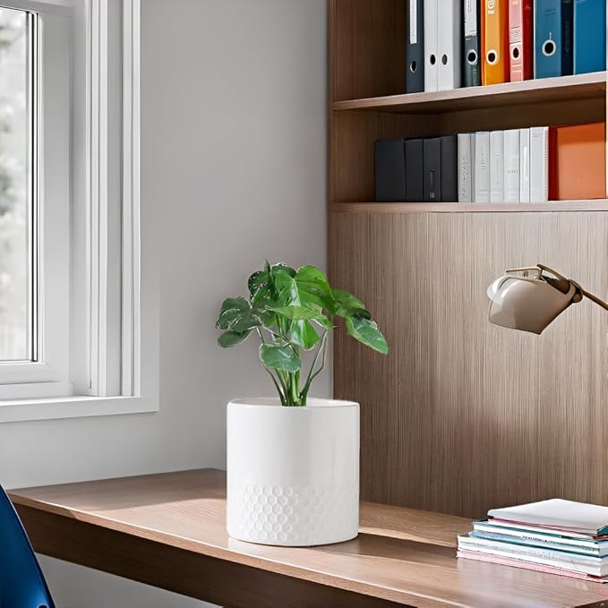 Docrin Ceramic Planters Indoor: 8 Inch Plant Pots with Drainage Holes for Home/Office - White Honeycomb