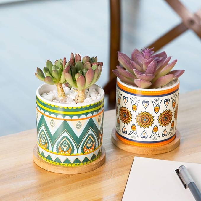 Succulent Plant Pots - 3.1 inch Ceramic Succulent Planter -Cylinder Flower Pots for Cactus with Drainage Hole and Bamboo Tray, 6 Pack (Multicolor1)