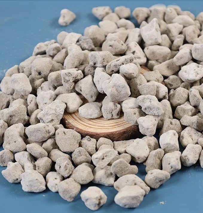 Horticultural Pumice for Plants by Doter 2 QT, Soil Amendment for Bonsai and Cactus Plants