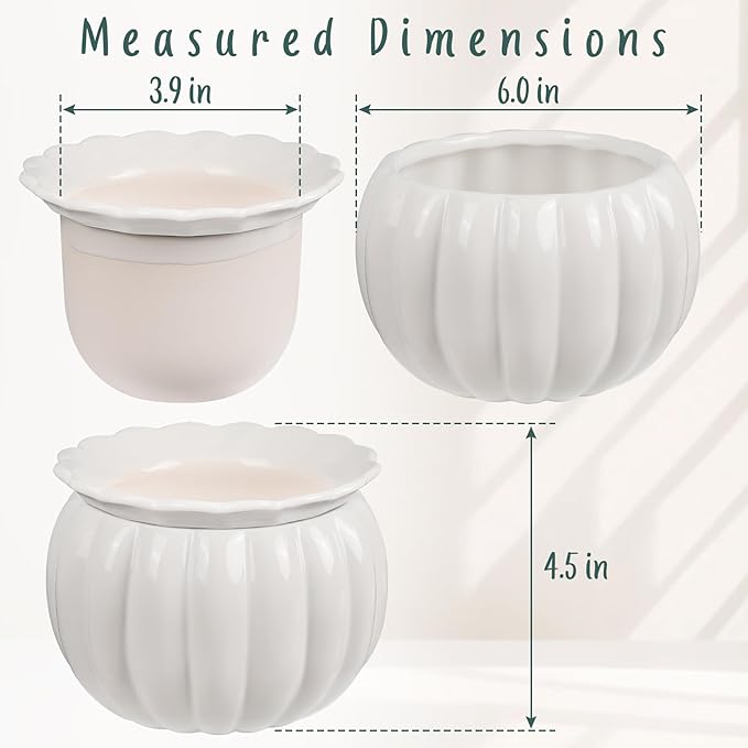 African Violet Self-Watering Ceramic Planter – 6 Inch Pot for Indoor Plants, Succulents, Herbs & Small Houseplants, Simple Self-Watering Design for Home & Office Décor, White